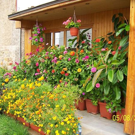 Hotel Comfort Veliko Tarnovo Exterior photo